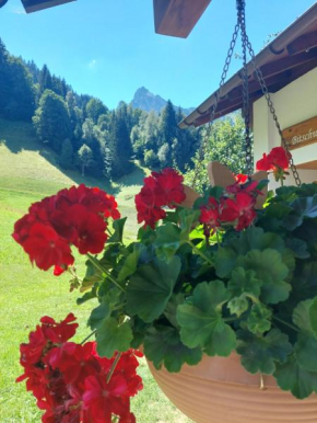 Bergmomente Montafon Ferienhaus Bitschweil